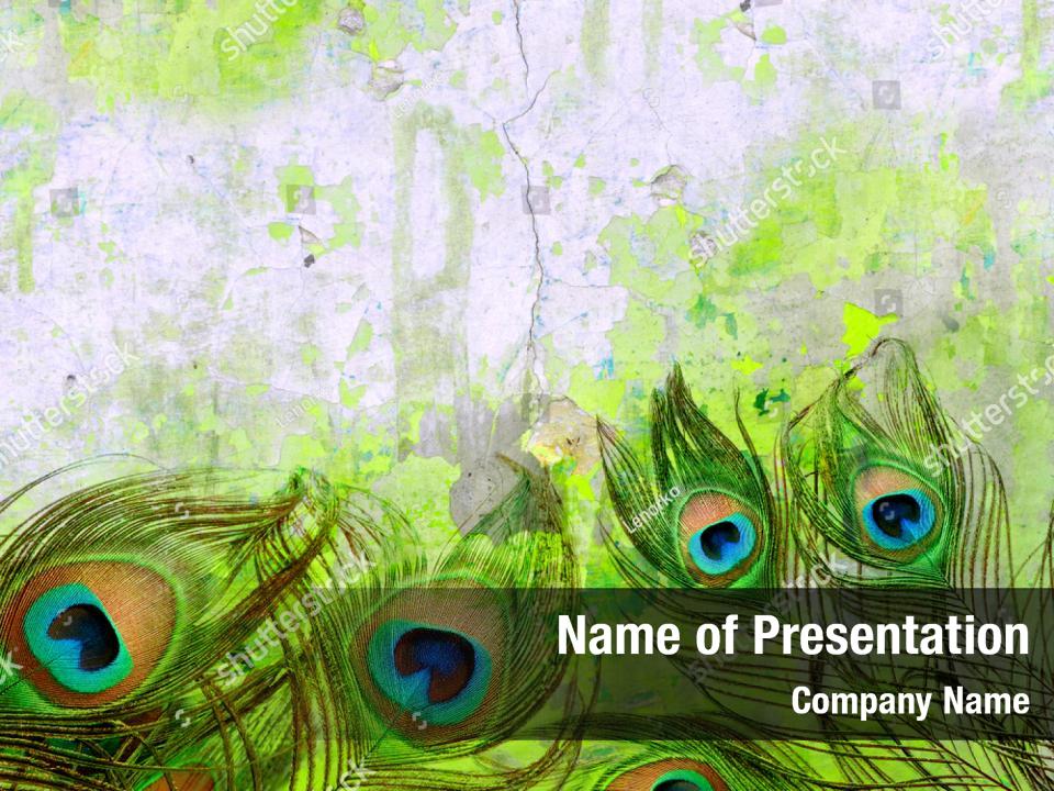 Detail Background Ppt Feather Nomer 30