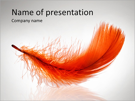 Detail Background Ppt Feather Nomer 33