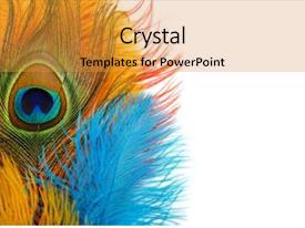 Detail Background Ppt Feather Nomer 36
