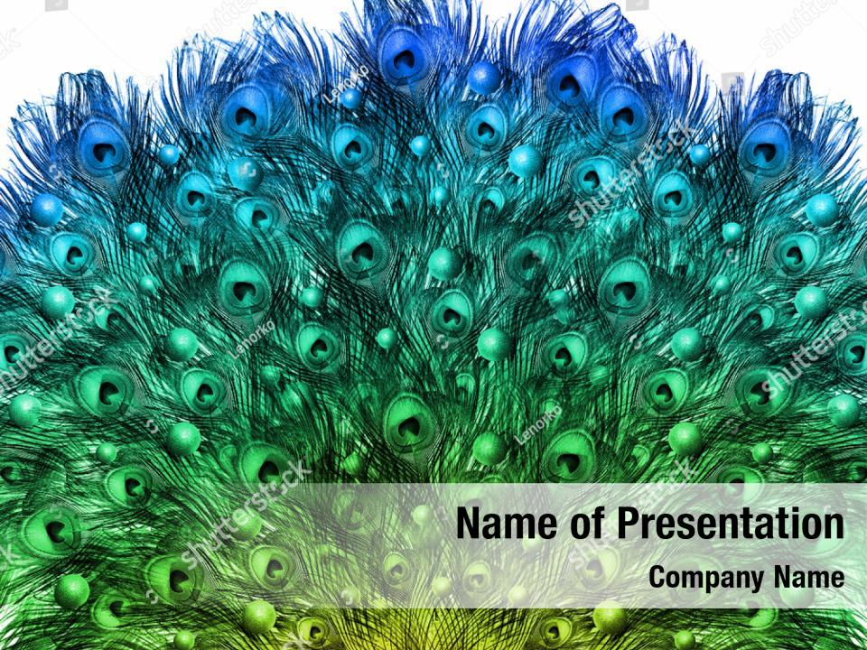 Detail Background Ppt Feather Nomer 38