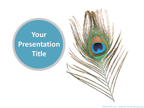 Detail Background Ppt Feather Nomer 41