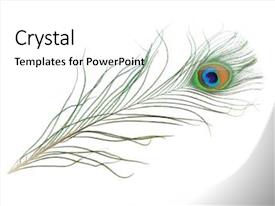 Detail Background Ppt Feather Nomer 44