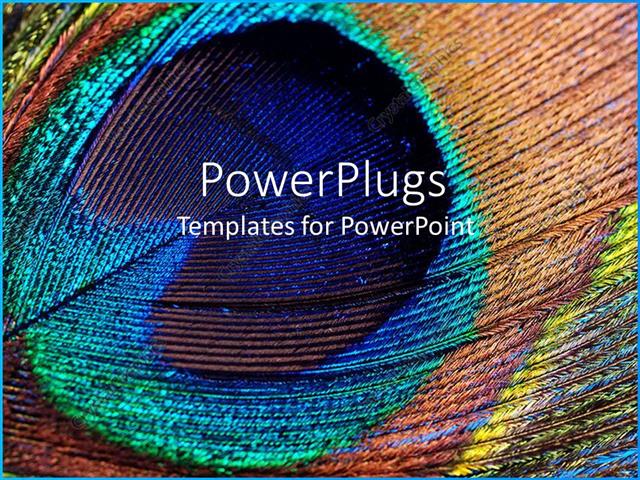 Detail Background Ppt Feather Nomer 48