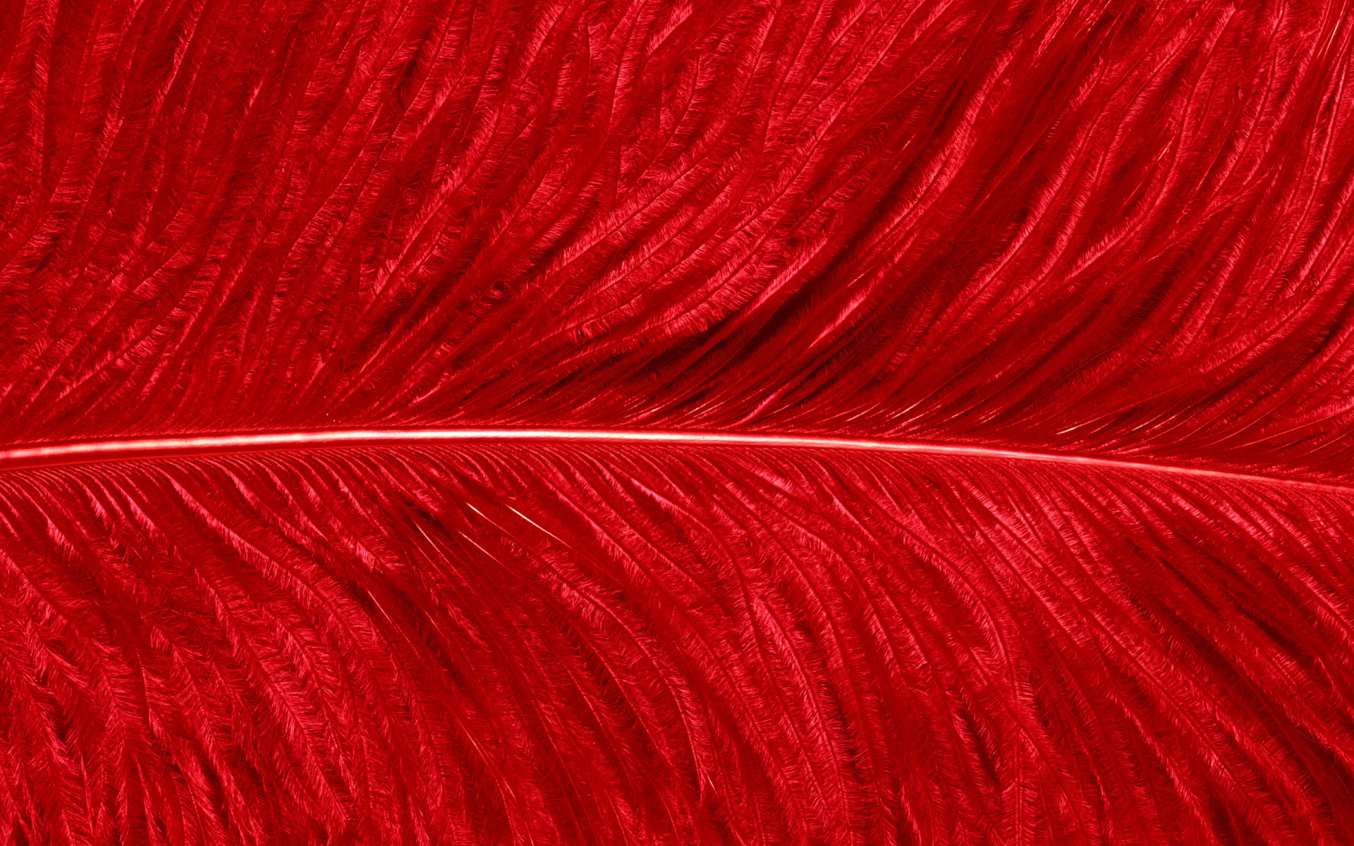Detail Background Ppt Feather Nomer 49