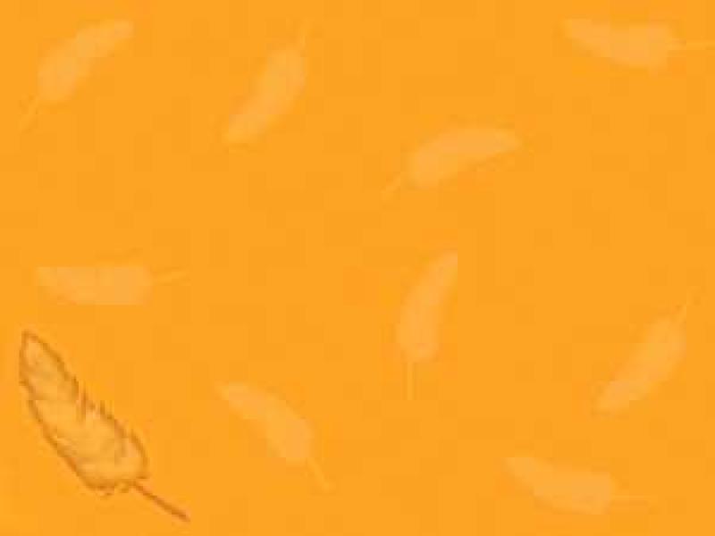 Detail Background Ppt Feather Nomer 53