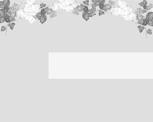 Detail Background Ppt Grey Nomer 27
