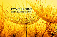 Detail Background Ppt Hujan Nomer 41