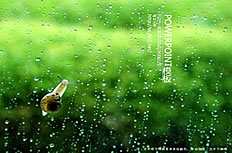 Detail Background Ppt Hujan Nomer 7