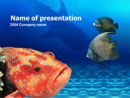 Detail Background Ppt Ikan Nomer 26