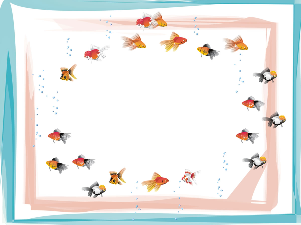 Detail Background Ppt Ikan Nomer 31