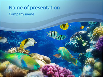 Detail Background Ppt Ikan Nomer 45