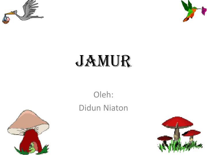 Background Ppt Jamur - KibrisPDR