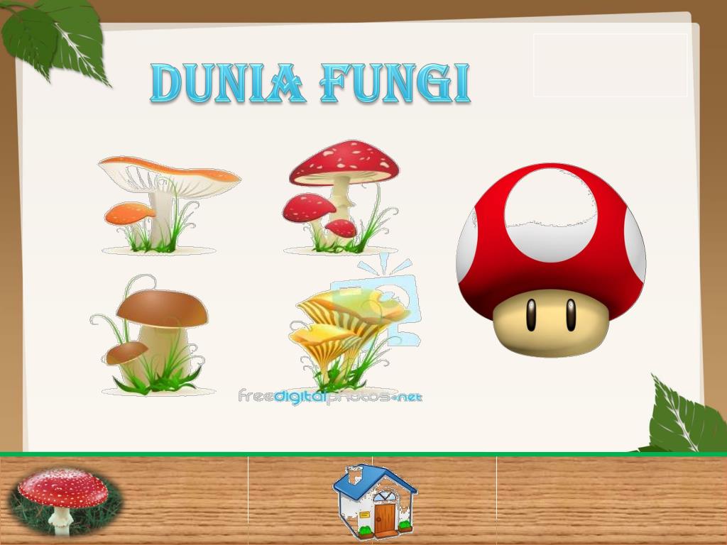 Detail Background Ppt Jamur Nomer 12