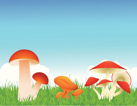 Detail Background Ppt Jamur Nomer 21