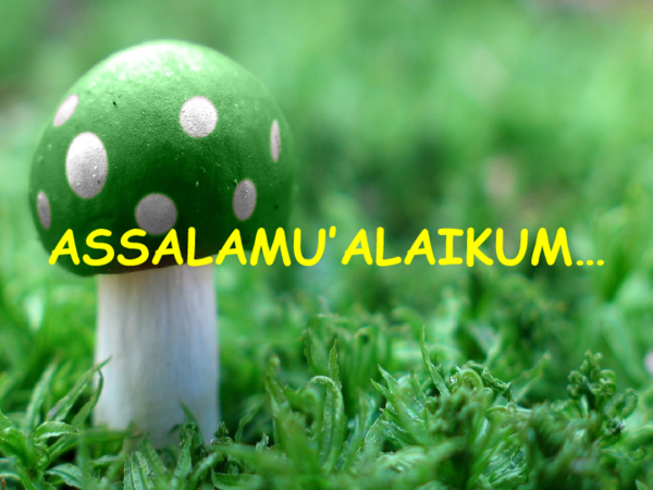 Detail Background Ppt Jamur Nomer 30