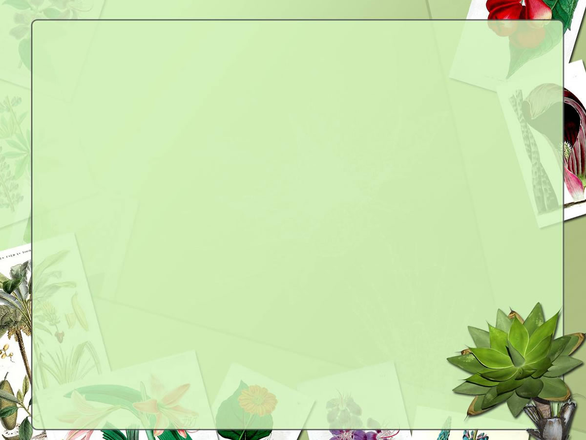 Detail Background Ppt Kebersihan Nomer 34