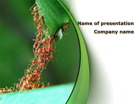 Detail Background Ppt Koperasi Nomer 15