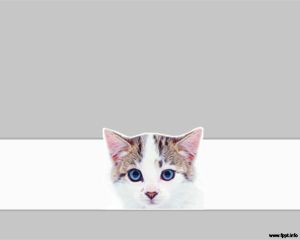 Detail Background Ppt Kucing Nomer 2