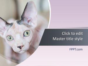 Detail Background Ppt Kucing Nomer 31