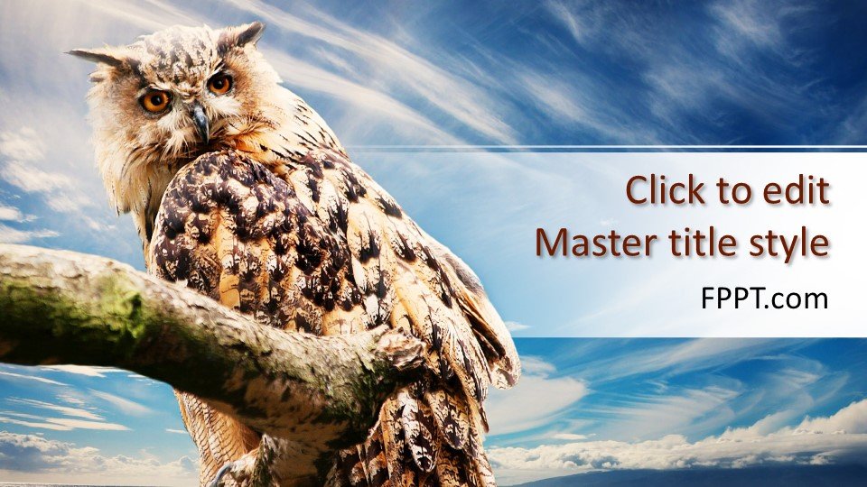 Detail Background Ppt Owl Nomer 17