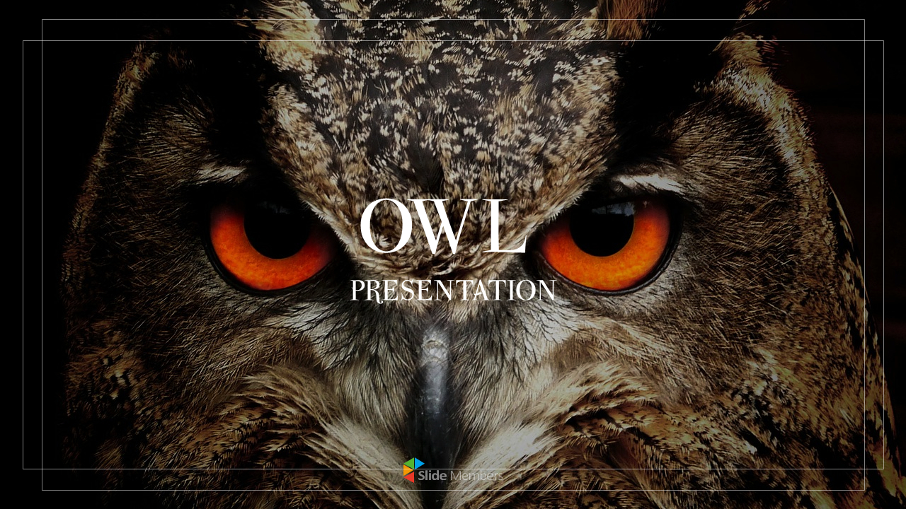 Detail Background Ppt Owl Nomer 24