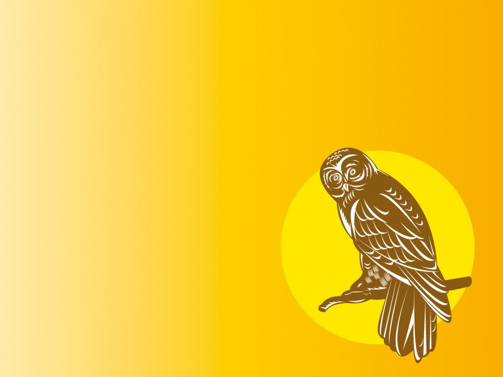 Detail Background Ppt Owl Nomer 30