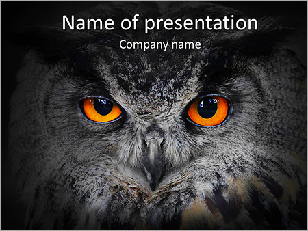 Detail Background Ppt Owl Nomer 33