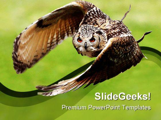 Detail Background Ppt Owl Nomer 34