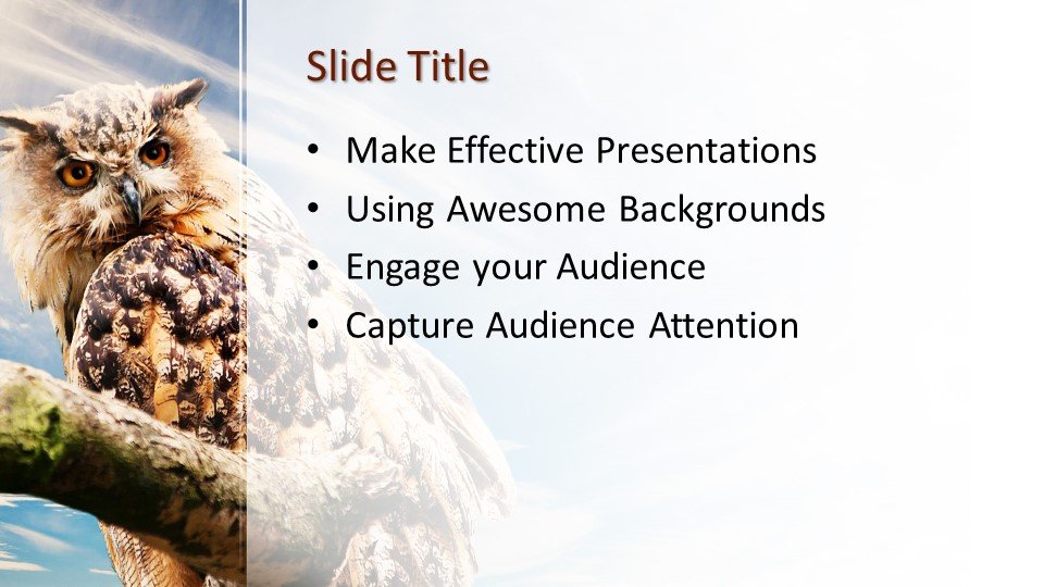 Detail Background Ppt Owl Nomer 43