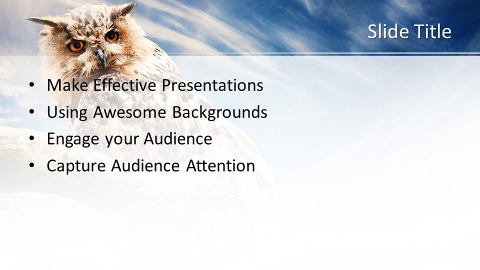 Detail Background Ppt Owl Nomer 49