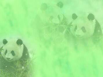 Detail Background Ppt Panda Nomer 2