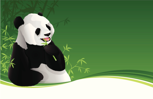 Detail Background Ppt Panda Nomer 24
