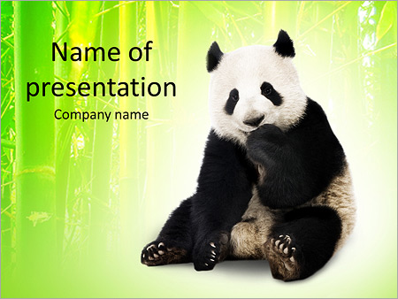 Detail Background Ppt Panda Nomer 26