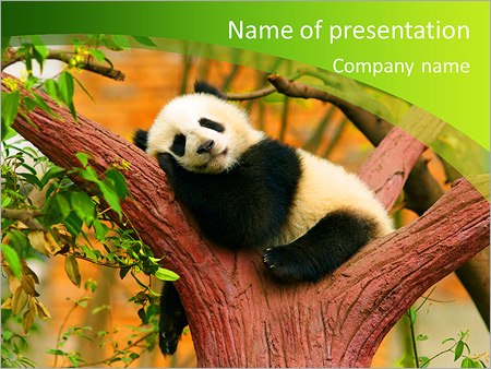 Detail Background Ppt Panda Nomer 28