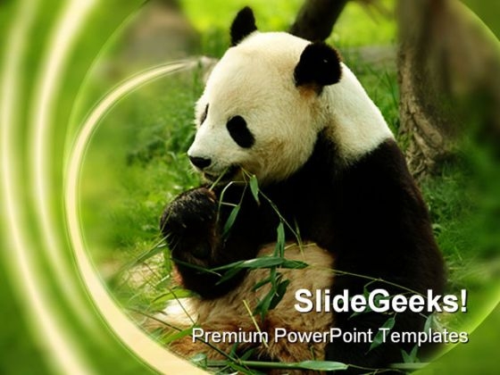 Detail Background Ppt Panda Nomer 34