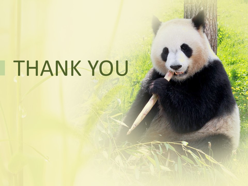 Detail Background Ppt Panda Nomer 4