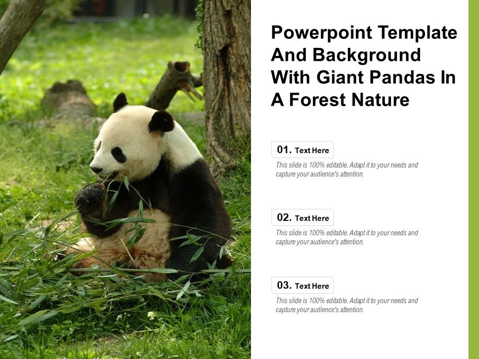 Detail Background Ppt Panda Nomer 42