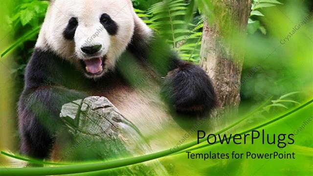 Detail Background Ppt Panda Nomer 46