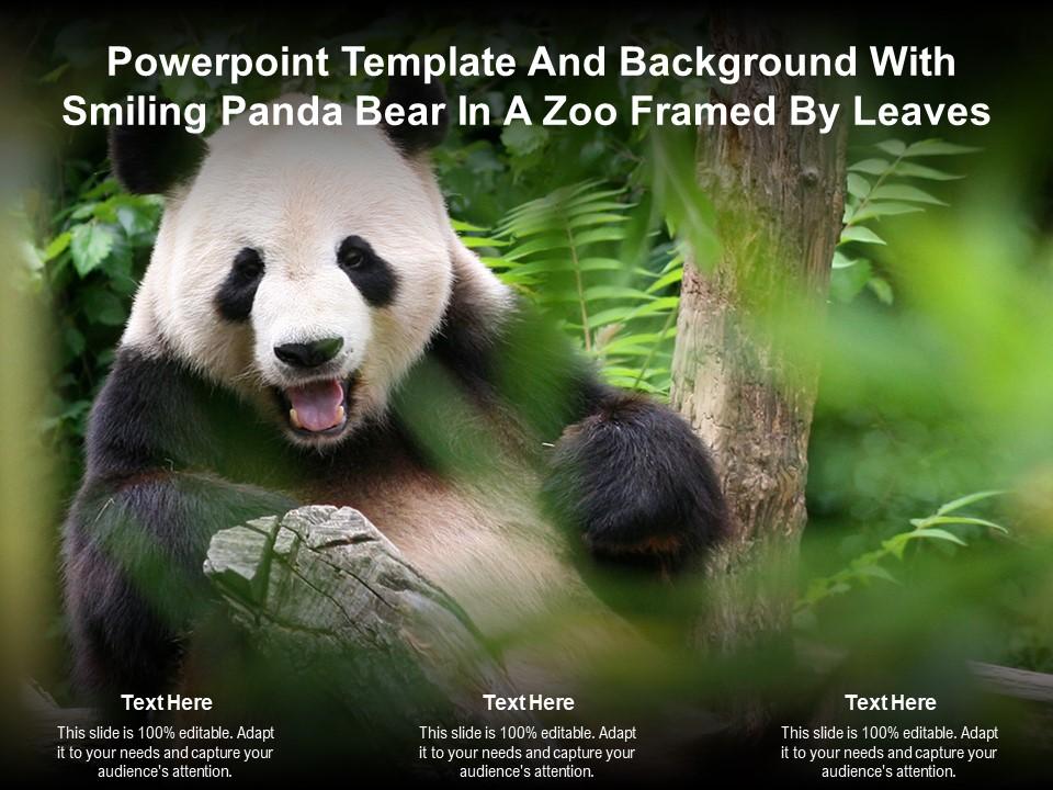 Detail Background Ppt Panda Nomer 49