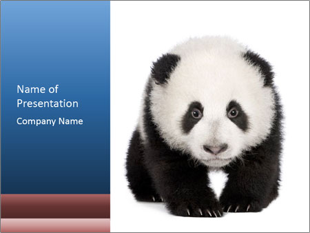 Detail Background Ppt Panda Nomer 50
