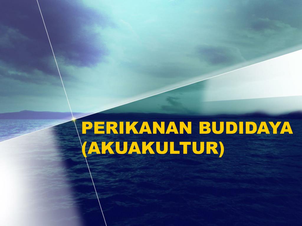 Detail Background Ppt Perikanan Nomer 47