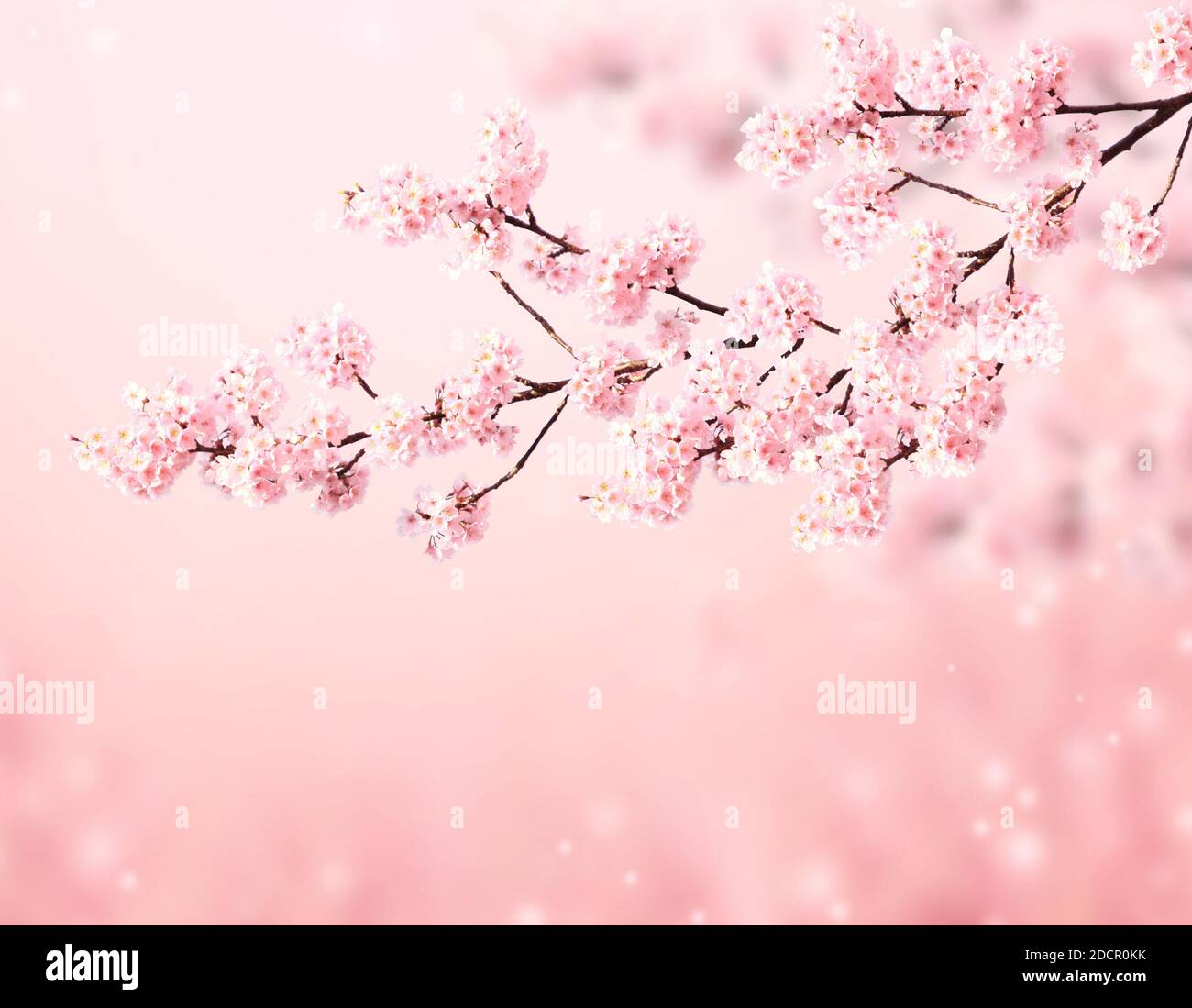 Detail Background Ppt Sakura Nomer 35