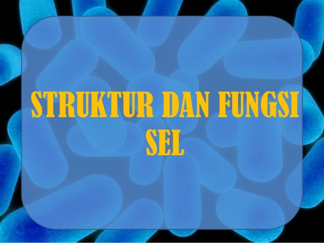 Detail Background Ppt Sel Nomer 25