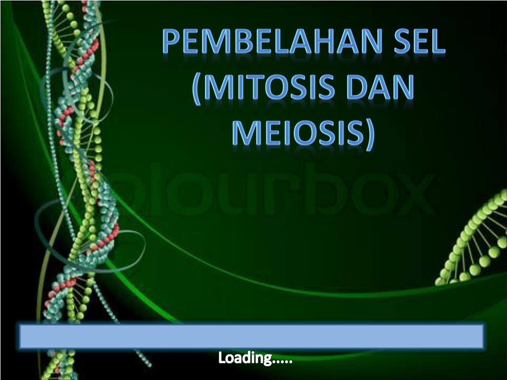 Detail Background Ppt Sel Nomer 35