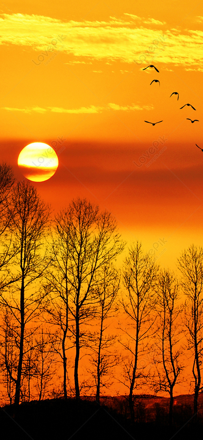 Detail Background Ppt Senja Nomer 20