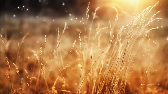Detail Background Ppt Senja Nomer 3