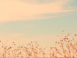 Detail Background Ppt Senja Nomer 48