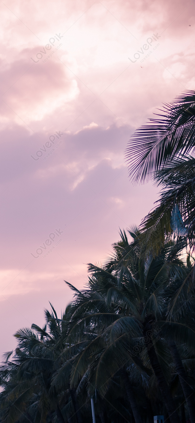 Detail Background Ppt Senja Nomer 54