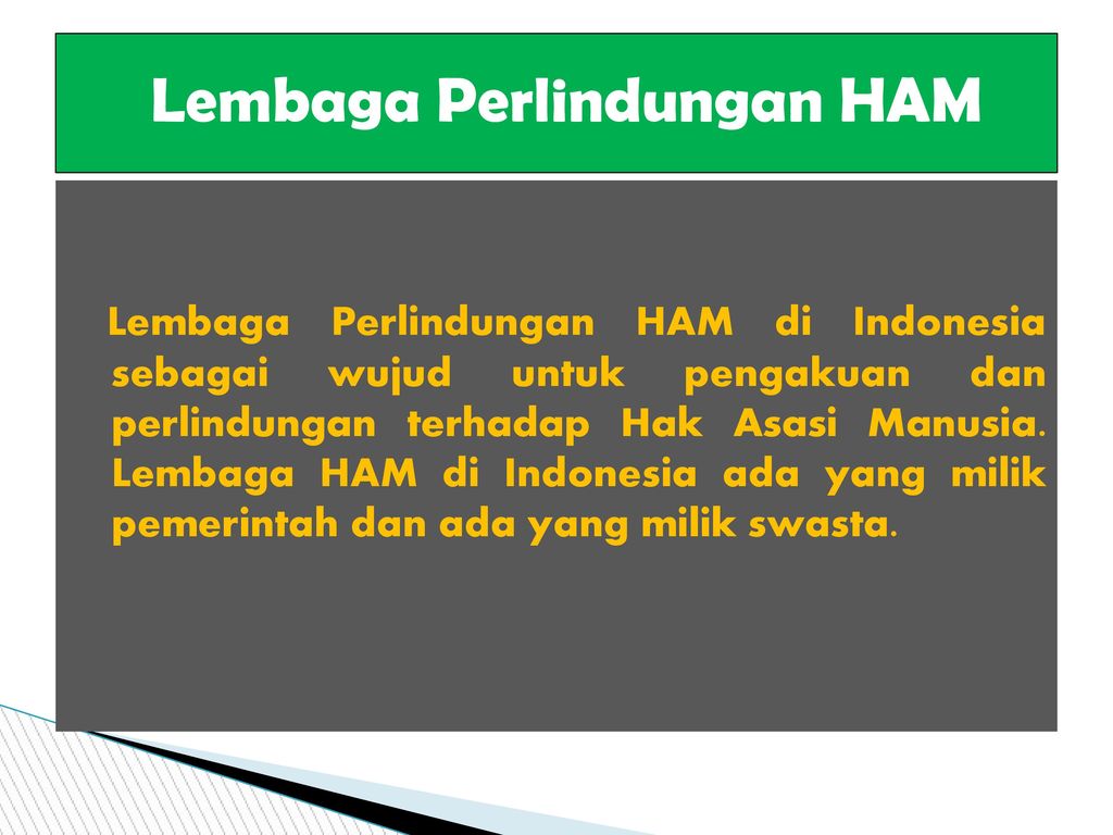 Detail Background Ppt Tentang Ham Nomer 29