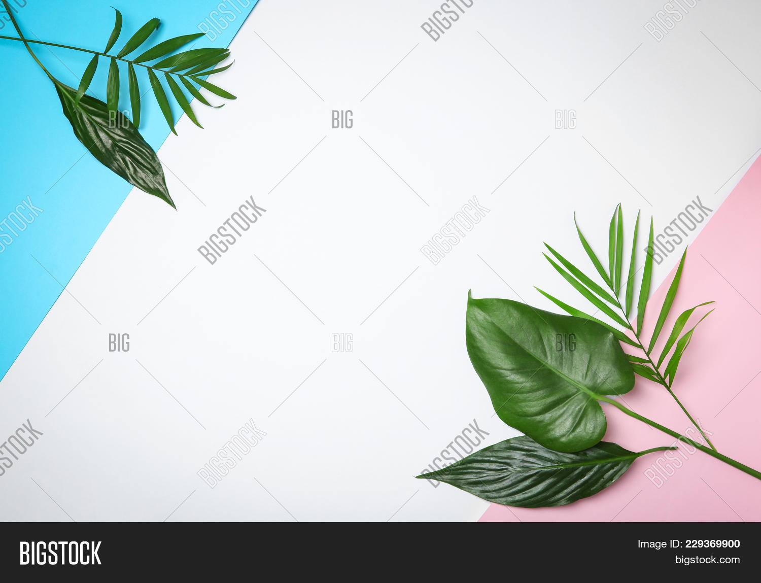 Detail Background Ppt Tropical Nomer 53